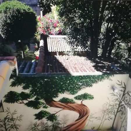Suite Oisivete Avec Terrasse Vue Sur Patio Et Clim Montpellier Buitenkant foto